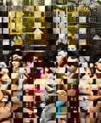 《鸭王1》电视剧粤语在线观看全集高清加长版BD国语中字