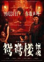 《鸳鸯楼》免费高清在线观看加长版HD国语